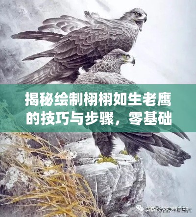 揭秘繪制栩栩如生老鷹的技巧與步驟,零基礎(chǔ)也能輕松掌握!