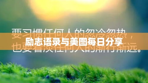 勵志語錄與美圖每日分享