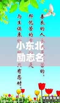 小東北勵(lì)志名言，激發(fā)無限潛能的短句