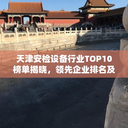天津安檢設備行業TOP10榜單揭曉，領先企業排名及優勢一網打盡！