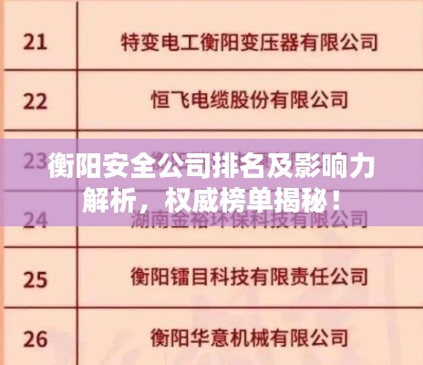 衡陽安全公司排名及影響力解析，權威榜單揭秘！