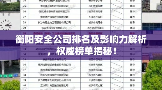 衡陽安全公司排名及影響力解析,權威榜單揭秘!