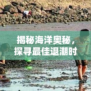 揭秘海洋奧秘,探尋最佳退潮時刻,百度知識帶你領略潮汐魅力