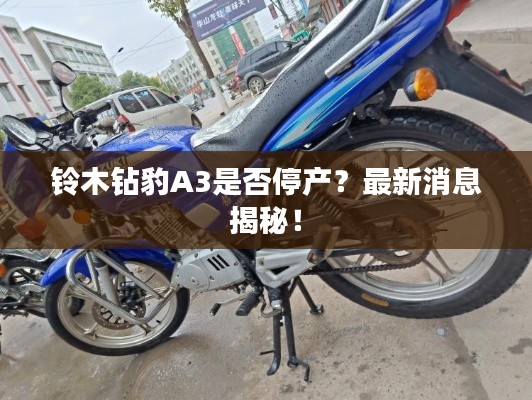 鈴木鉆豹A3是否停產(chǎn)?最新消息揭秘!