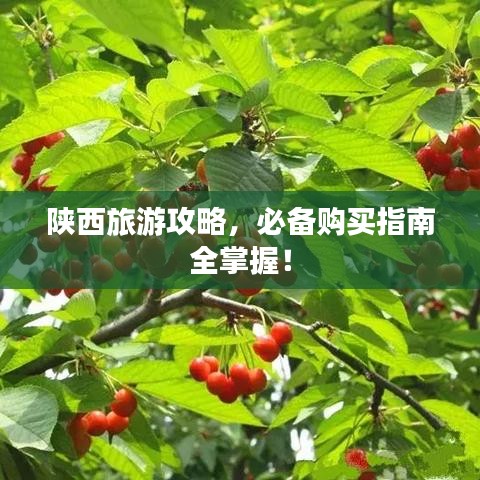 陜西旅游攻略，必備購(gòu)買(mǎi)指南全掌握！