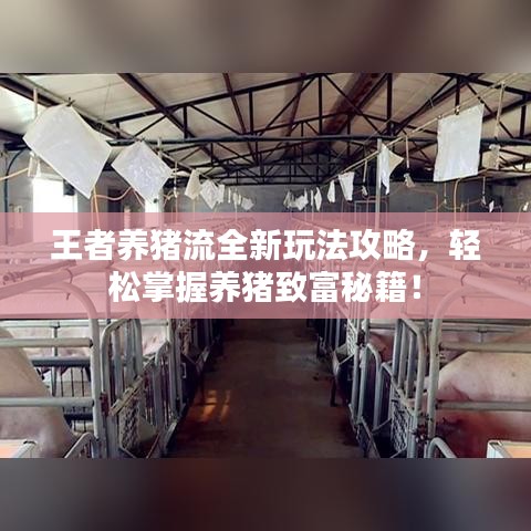王者養豬流全新玩法攻略,輕松掌握養豬致富秘籍!