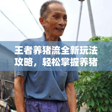 王者養豬流全新玩法攻略,輕松掌握養豬致富秘籍!