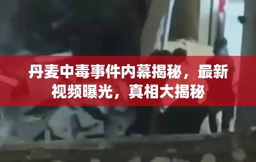 丹麥中毒事件內幕揭秘，最新視頻曝光，真相大揭秘