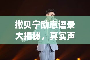 撒貝寧勵志語錄大揭秘，真實聲音，激勵人心