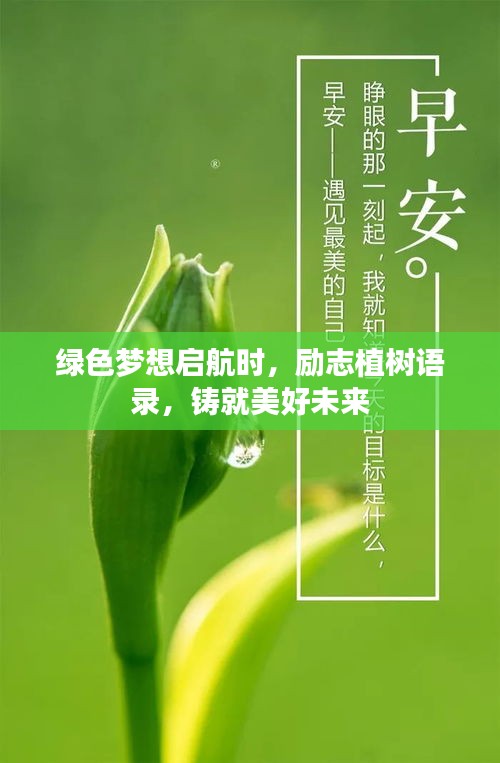 綠色夢想啟航時，勵志植樹語錄，鑄就美好未來