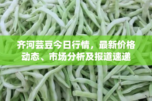 齊河蕓豆今日行情,最新價格動態(tài)、市場分析及報道速遞