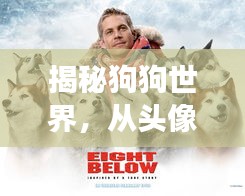 揭秘狗狗世界,從頭像圖片開啟的奇妙探險之旅