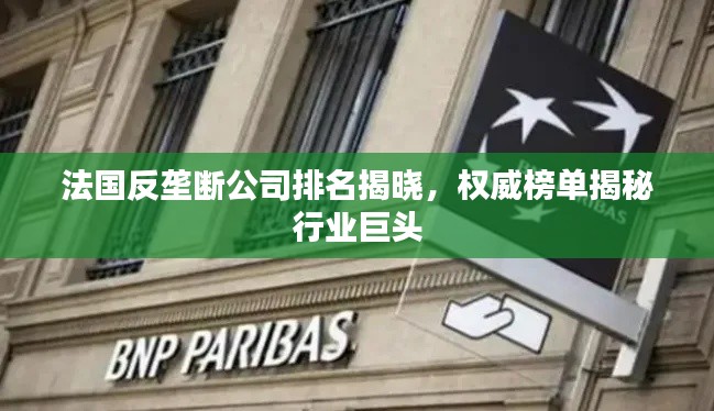 法國反壟斷公司排名揭曉,權威榜單揭秘行業巨頭