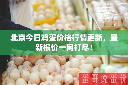 北京今日雞蛋價格行情更新，最新報價一網打盡！