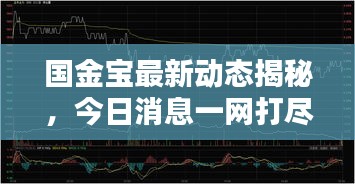國金寶最新動態揭秘，今日消息一網打盡