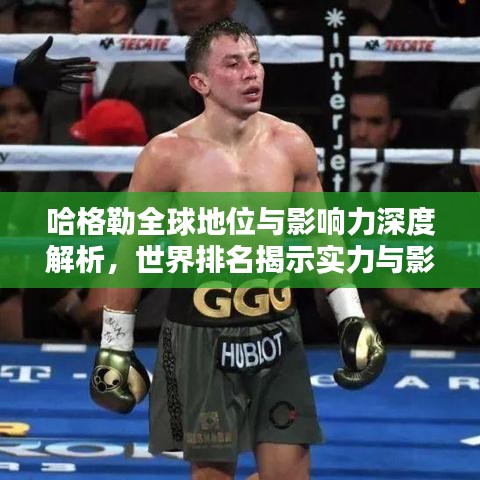 哈格勒全球地位與影響力深度解析,世界排名揭示實力與影響力