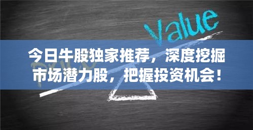 今日牛股獨(dú)家推薦，深度挖掘市場(chǎng)潛力股，把握投資機(jī)會(huì)！