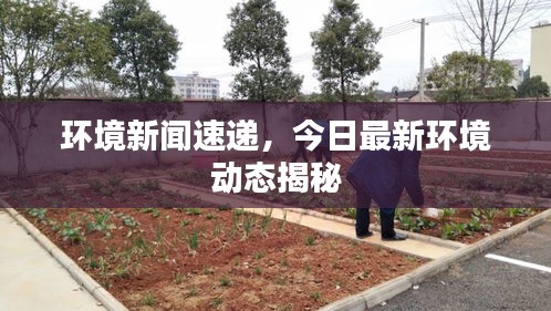 環境新聞速遞，今日最新環境動態揭秘