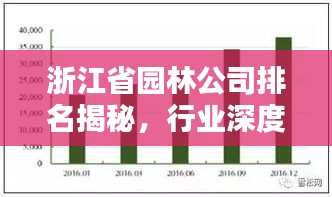 浙江省園林公司排名揭秘，行業深度分析與評估