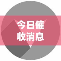 今日催收消息重磅更新，最新動態一覽