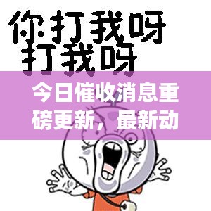 今日催收消息重磅更新,最新動態(tài)一覽