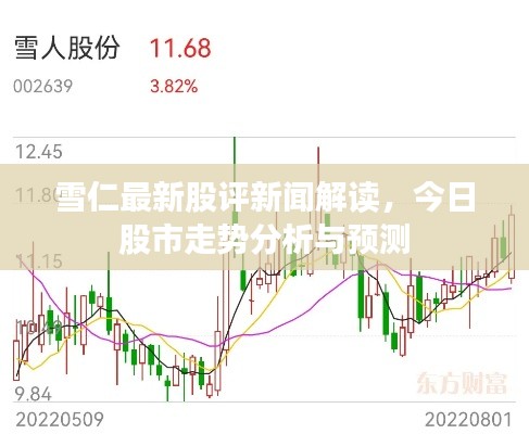 雪仁最新股評新聞解讀,今日股市走勢分析與預測