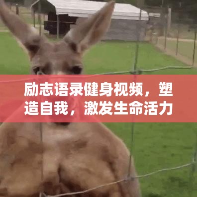 勵志語錄健身視頻，塑造自我，激發生命活力