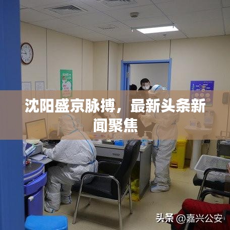 沈陽盛京脈搏，最新頭條新聞聚焦