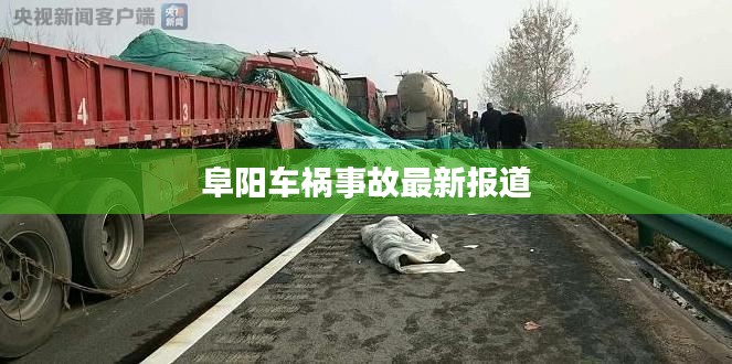 阜陽車禍事故最新報道