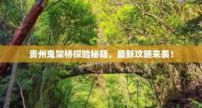 貴州鬼架橋探險秘籍，最新攻略來襲！
