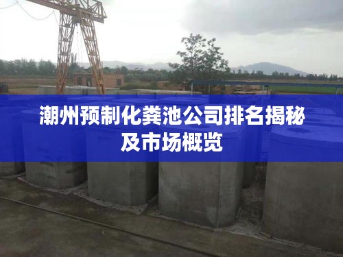 潮州預(yù)制化糞池公司排名揭秘及市場概覽