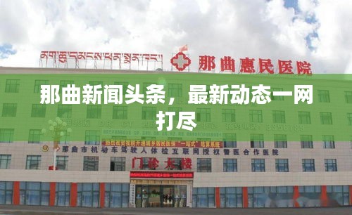 那曲新聞頭條，最新動態一網打盡