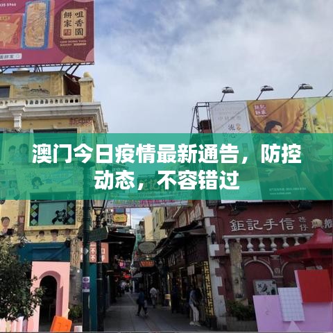 澳門今日疫情最新通告,防控動態,不容錯過