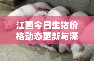 江西今日生豬價格動態更新與深度分析
