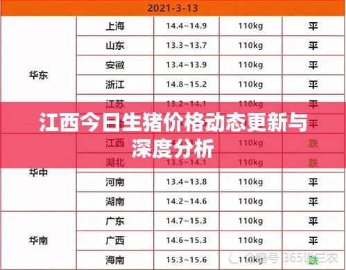 江西今日生豬價格動態(tài)更新與深度分析