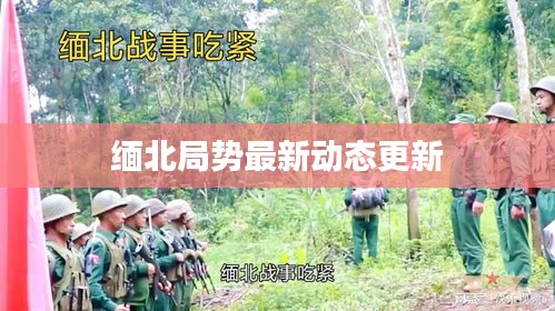 緬北局勢最新動態更新