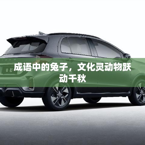 成語中的兔子，文化靈動物躍動千秋