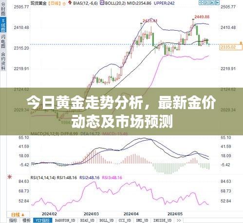 今日黃金走勢分析,最新金價動態及市場預測