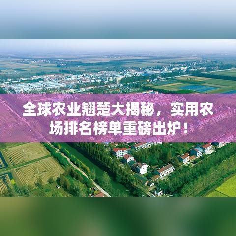 全球農業翹楚大揭秘，實用農場排名榜單重磅出爐！