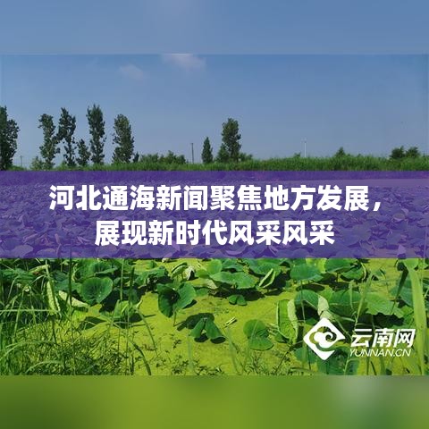 河北通海新聞聚焦地方發展,展現新時代風采風采