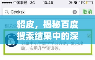 貂皮,揭秘百度搜索結(jié)果中的深度解讀