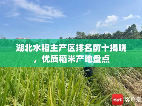 人前顯貴 第3頁