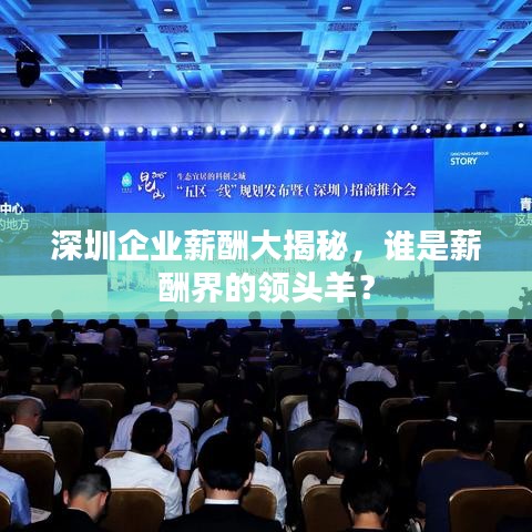 深圳企業薪酬大揭秘，誰是薪酬界的領頭羊？