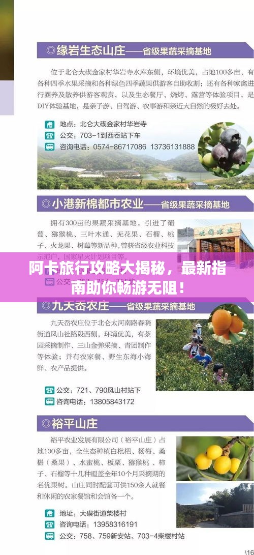 阿卡旅行攻略大揭秘，最新指南助你暢游無阻！