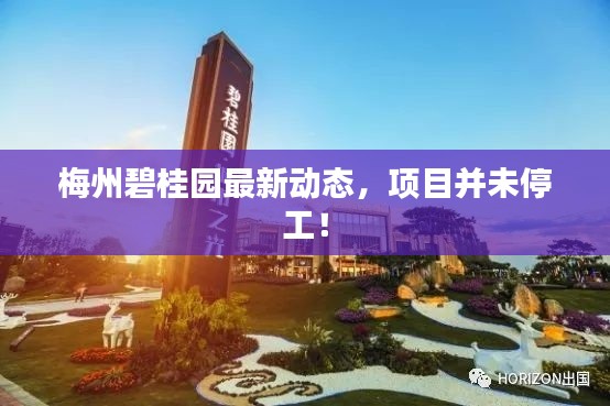 梅州碧桂園最新動態，項目并未停工！