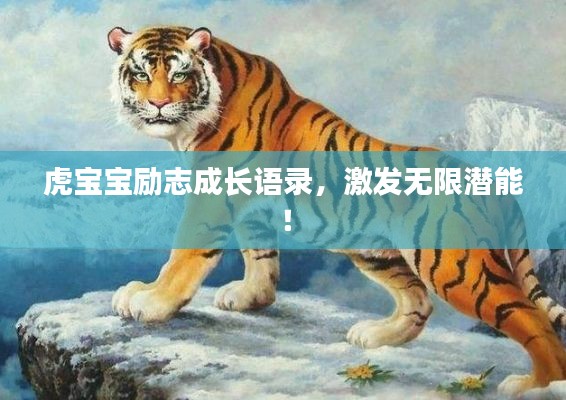 虎寶寶勵志成長語錄,激發無限潛能!
