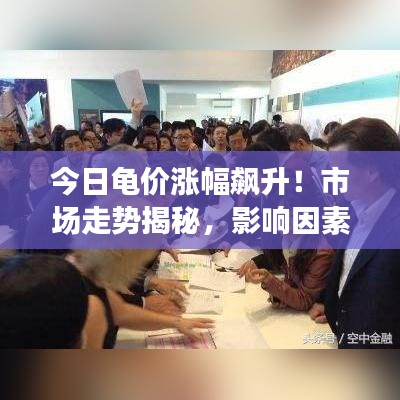 今日龜價漲幅飆升!市場走勢揭秘,影響因素深度剖析!