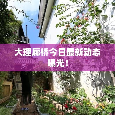 大理廊橋今日最新動態曝光！