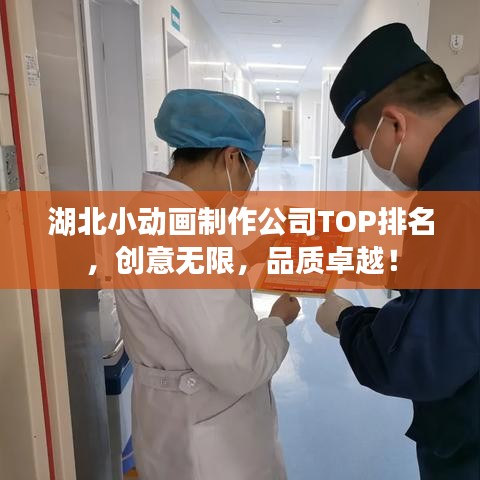 湖北小動畫制作公司TOP排名，創(chuàng)意無限，品質(zhì)卓越！