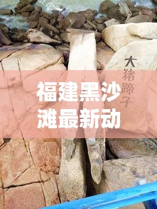 福建黑沙灘最新動態揭秘